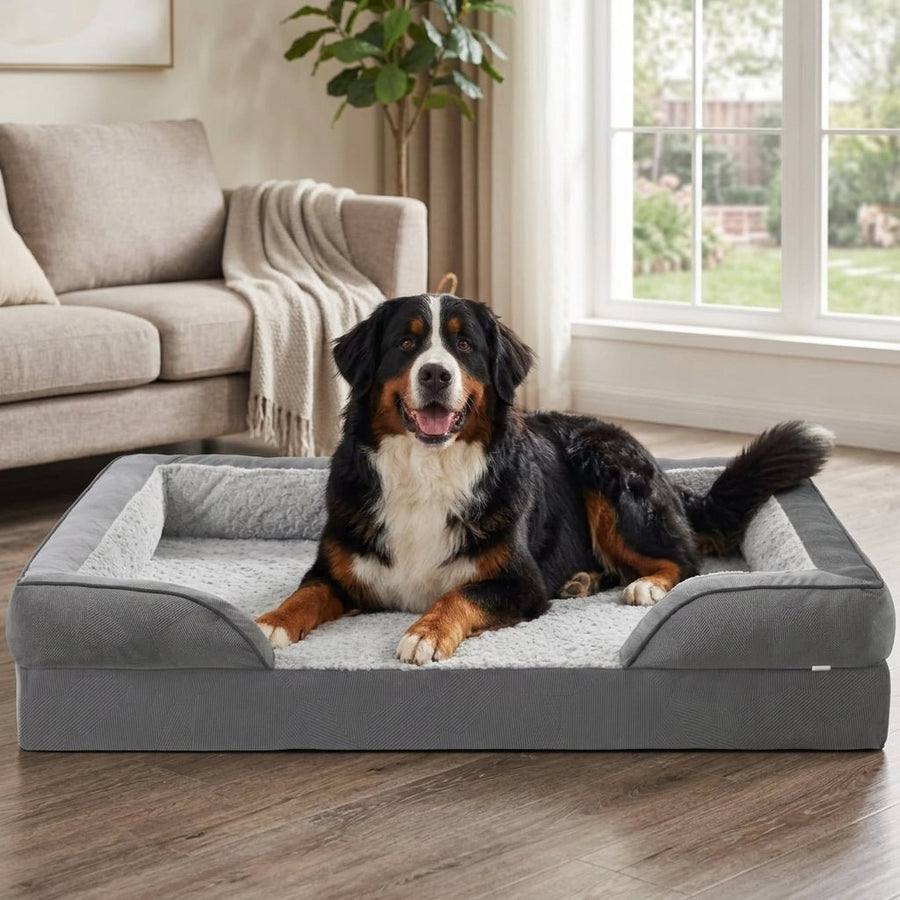 Large & Giant Breed Dog Beds - Pawlunova