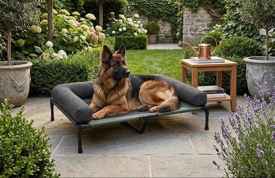Bassenthwaite Elevated Mesh Dog Bed - Pawlunova
