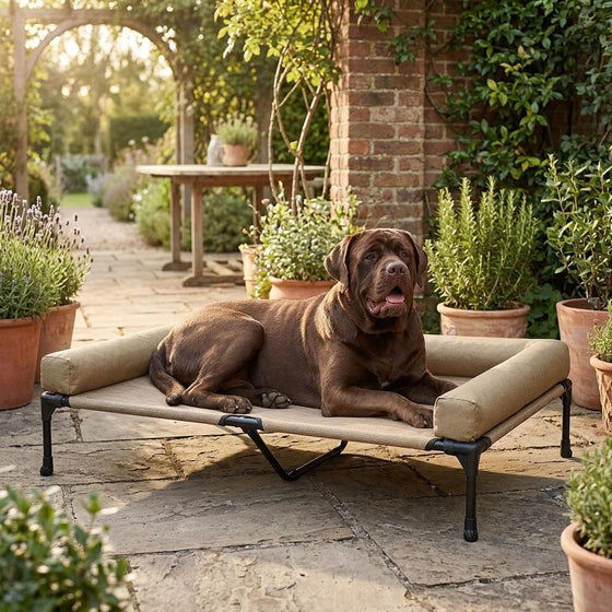 Brotherswater Elevated Mesh Bolster Dog Bed - Pawlunova