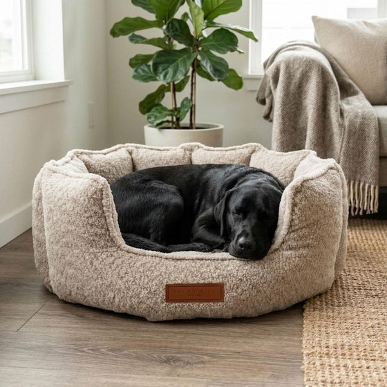 Elterwater Bouclé Memory Foam Nest Dog Bed - Pawlunova
