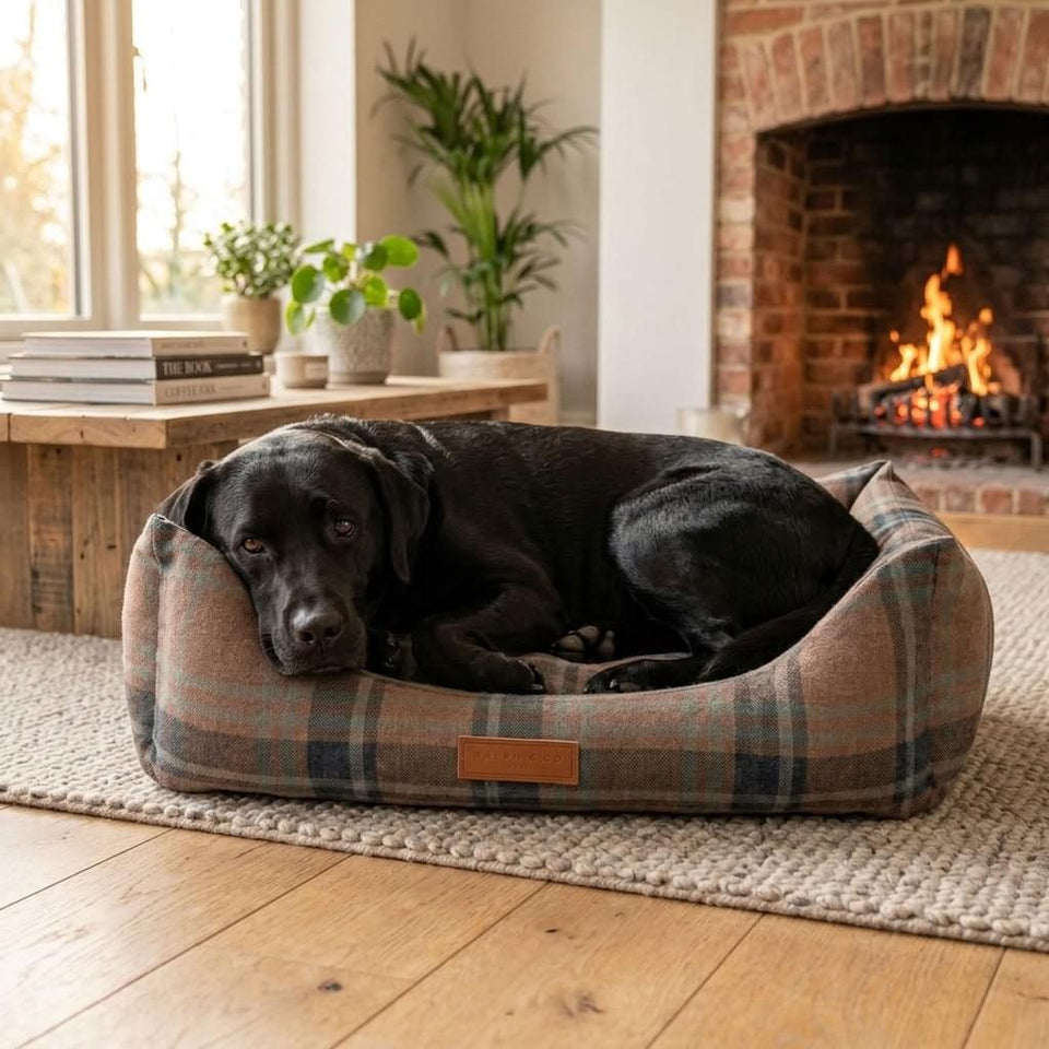 Eskdale Tartan Bolster Dog Bed - Pawlunova