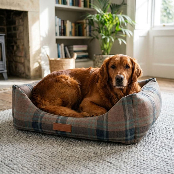 Eskdale Tartan Bolster Dog Bed - Pawlunova