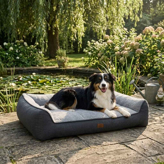 Haweswater Memory Foam Dog Sofa - Pawlunova