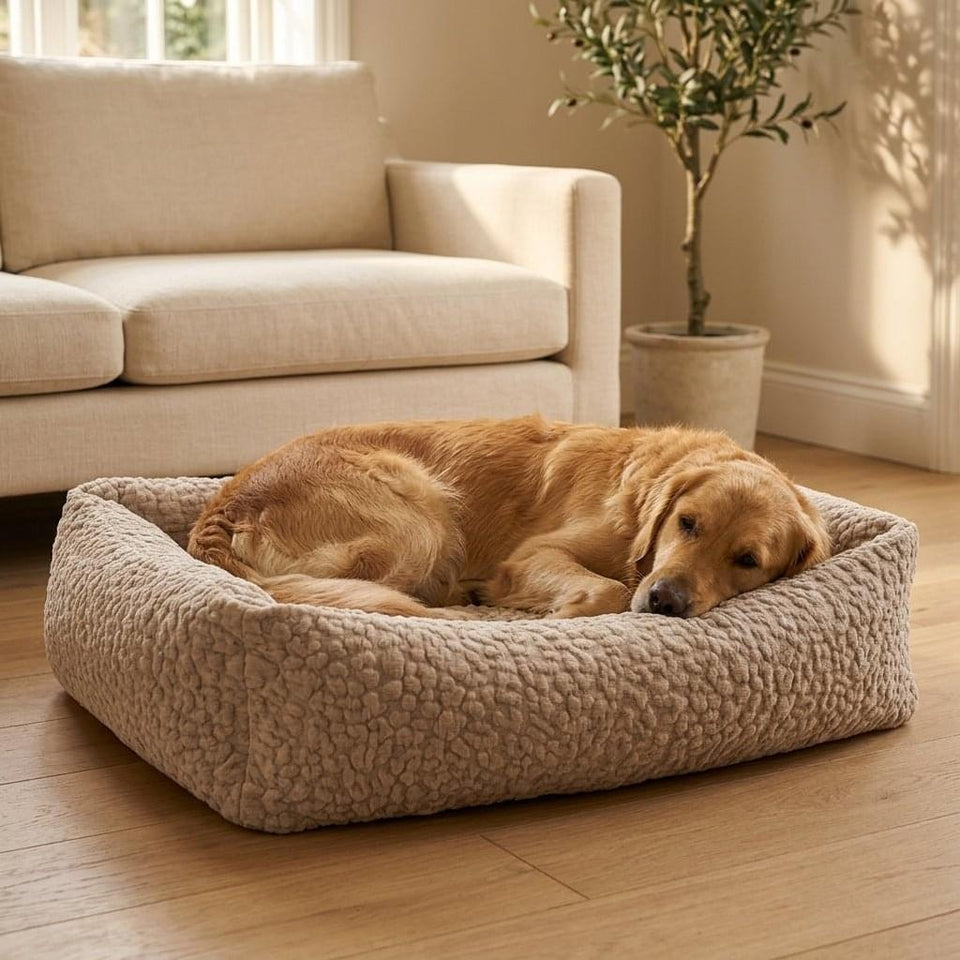 Kendal Corduroy Memory Foam Dog Bed - Pawlunova