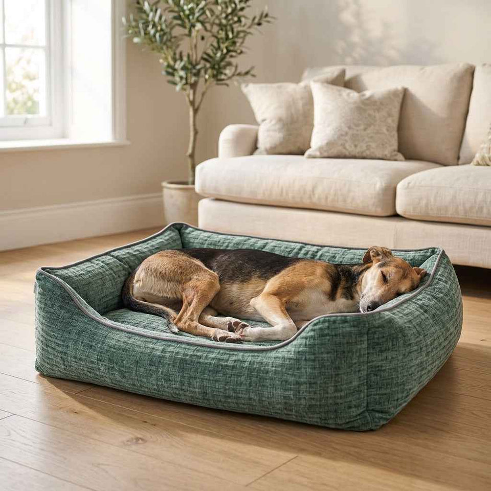 Kendal Corduroy Memory Foam Dog Bed - Pawlunova