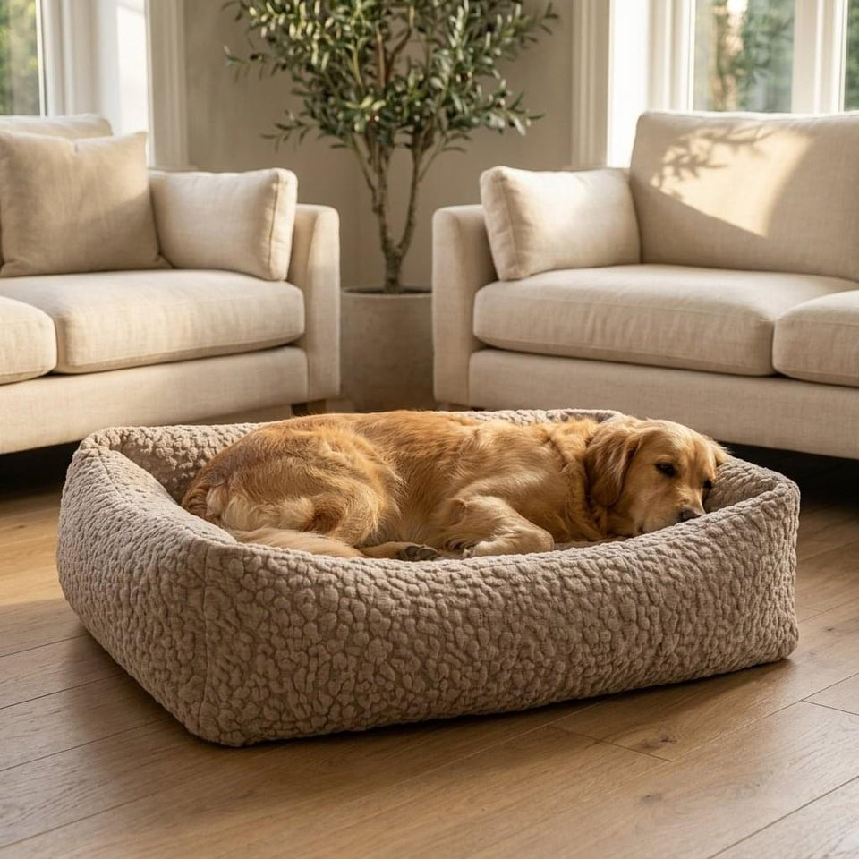 Kendal Corduroy Memory Foam Dog Bed - Pawlunova