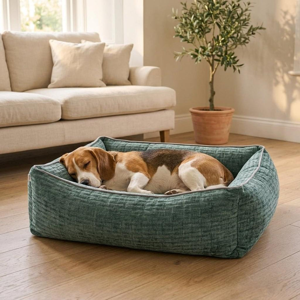 Kendal Corduroy Memory Foam Dog Bed - Pawlunova