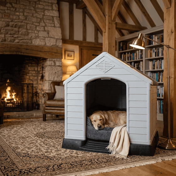 Keswick Raised Dog Kennel with Ramp - Pawlunova