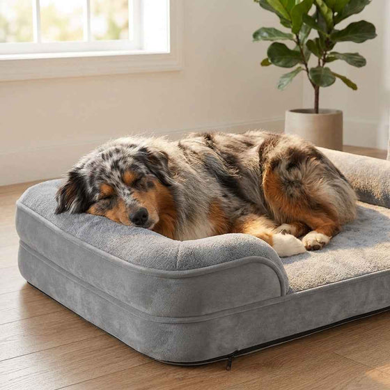 Langdale Raised-Edge Orthopaedic Dog Bed - Pawlunova