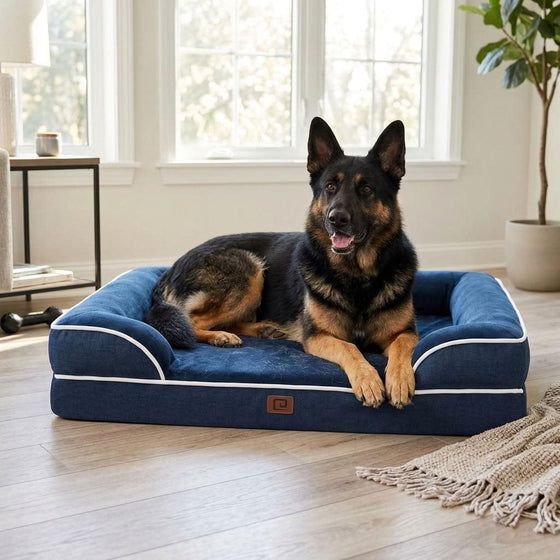 Mardale XXL Memory Foam Bolster Dog Bed - Pawlunova
