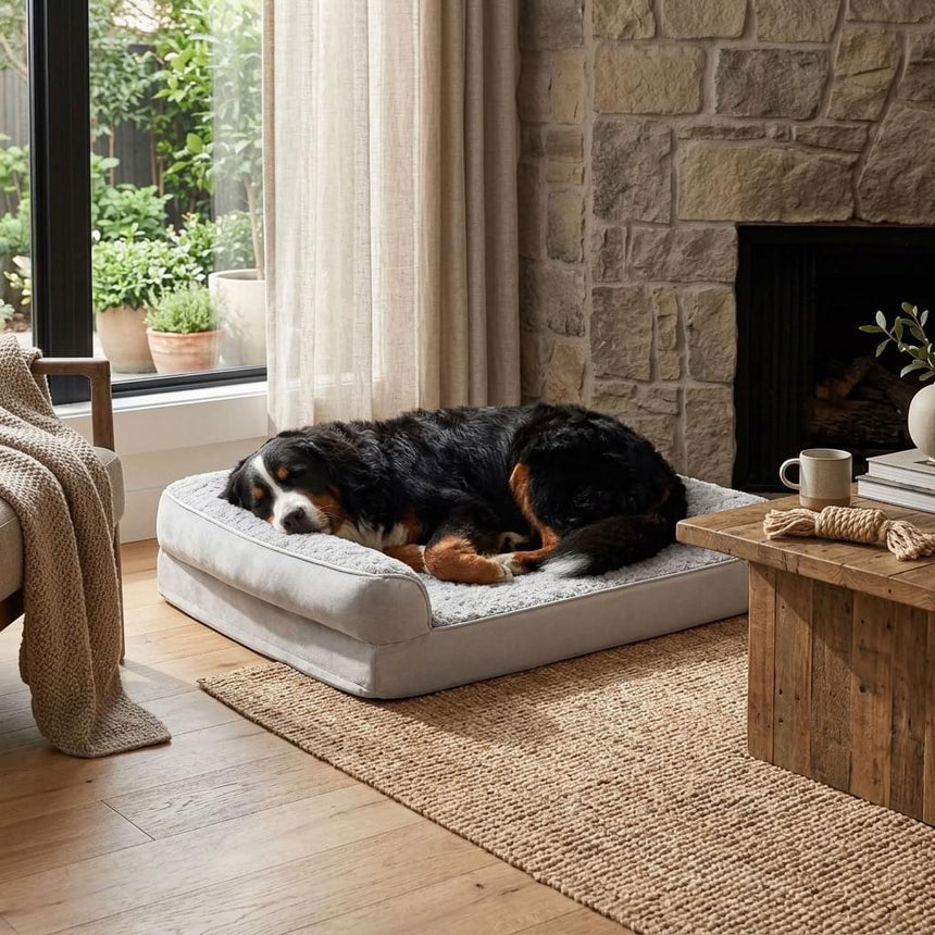 Nocturne Orthopaedic Bolster Dog Bed - Pawlunova