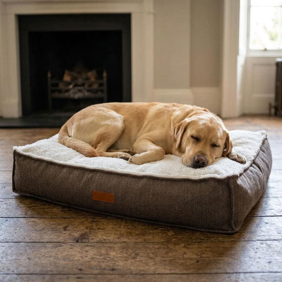 Patterdale Tweed Orthopaedic Dog Mattress - Pawlunova