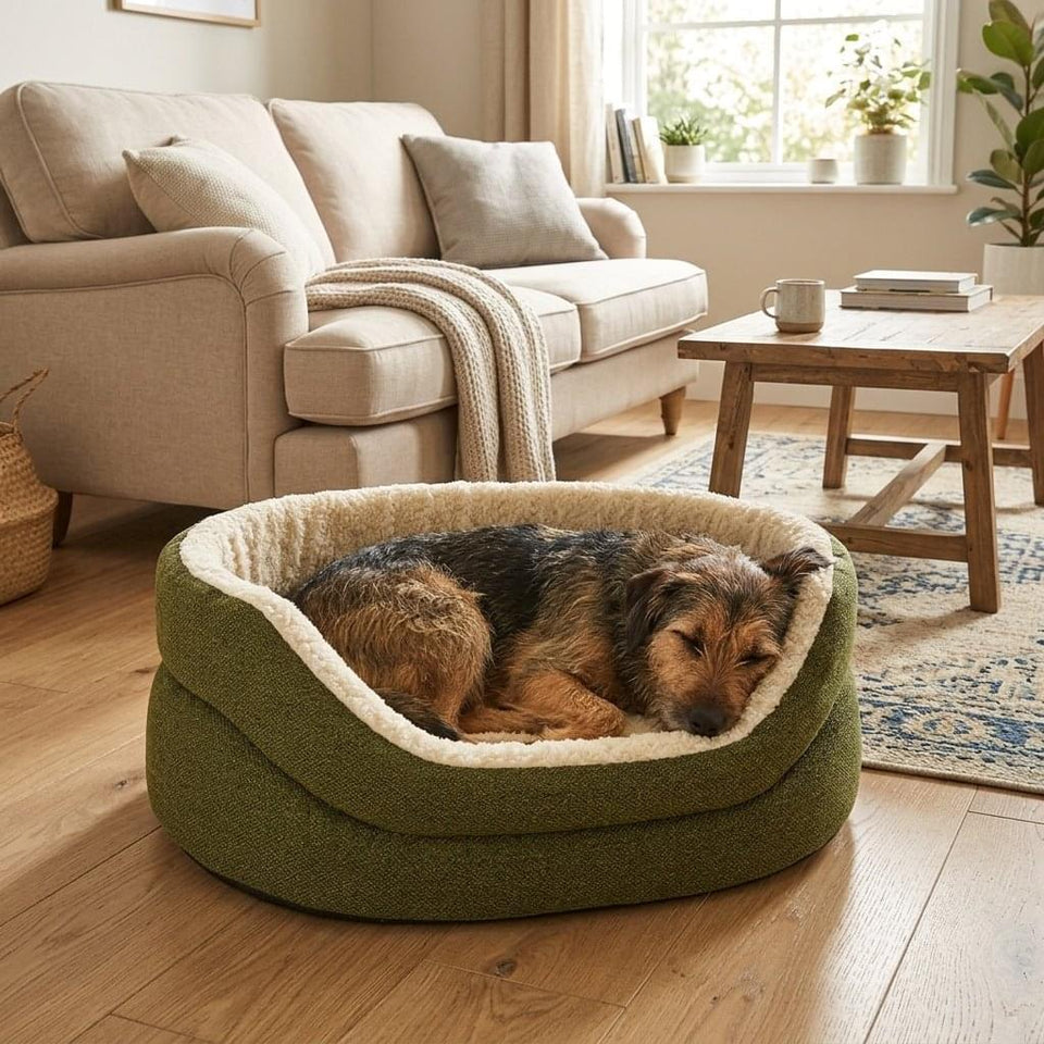 Rydal High-Sided Nest Dog Bed - Pawlunova