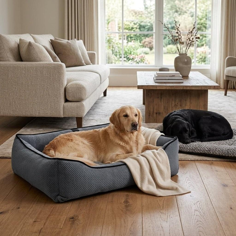 Rydal Personalised Plush Dog Bed - Pawlunova