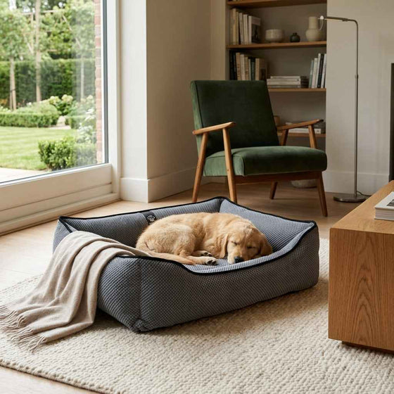 Rydal Personalised Plush Dog Bed - Pawlunova