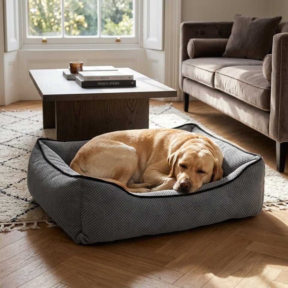 Rydal Personalised Plush Dog Bed - Pawlunova