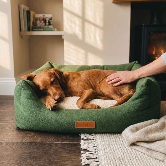 Sawrey Sherpa Nest Dog Bed - Pawlunova