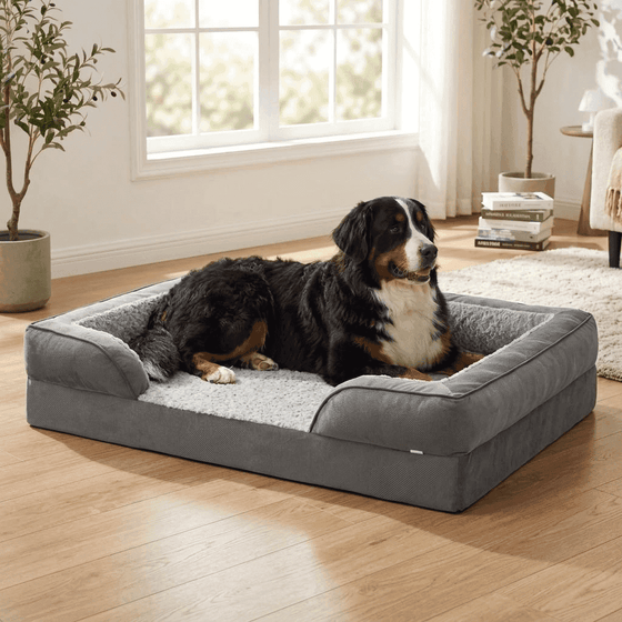 Scafell XL Orthopaedic Dog Sofa Bed - Pawlunova