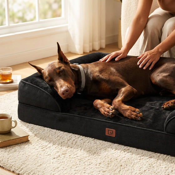 Staveley Orthopaedic Bolster Dog Bed - Pawlunova
