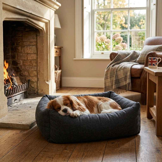 Thirlmere Felt Nest Dog Bed - Pawlunova