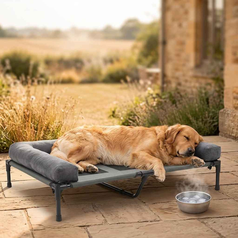 Windermere Elevated Mesh Dog Bed - Pawlunova
