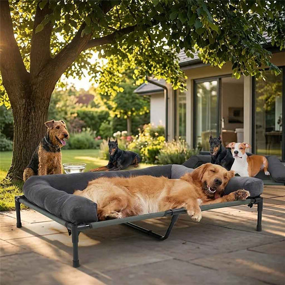 Windermere Elevated Mesh Dog Bed - Pawlunova