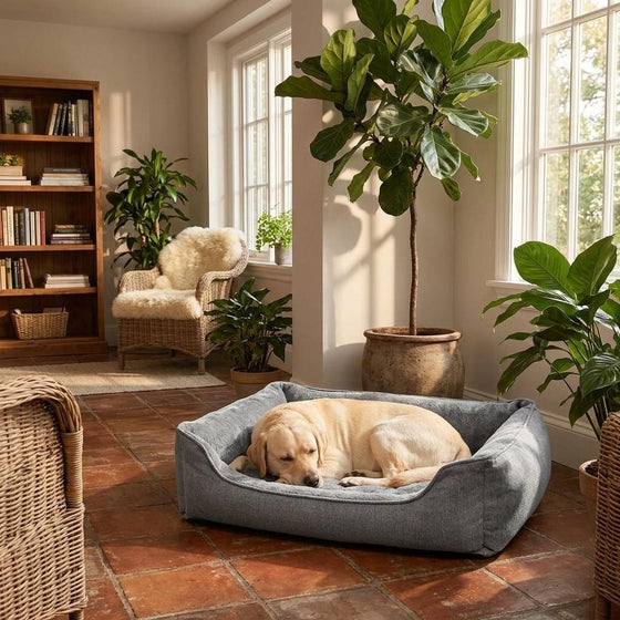 Large plush bolster dog bed with deep filled sides, 110 x 75cm - PawLunova Troutbeck