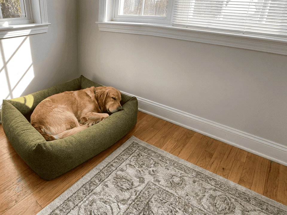 Windsor Upholstered Orthopaedic Dog Sofa - Pawlunova
