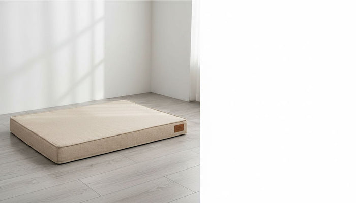 7 Best Dog Beds for Ultimate Comfort and Support - Pawlunova