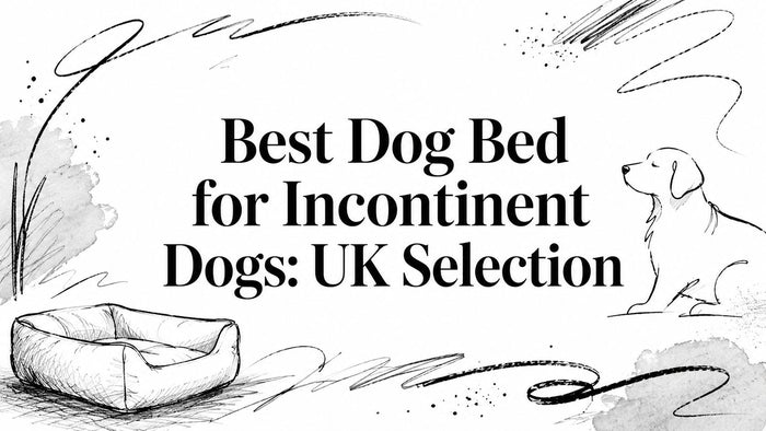 Best Dog Bed for Incontinent Dogs: UK Selection - Pawlunova