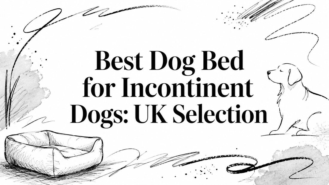 Best Dog Bed for Incontinent Dogs: UK Selection - PawLunova
