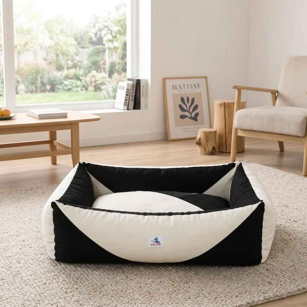 Low step-in dog beds: the black and cream Coniston dog bed on a living-room rug