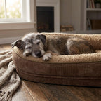 Round four-sided bolster dog bed with dark brown base and beige top, gray dog resting.