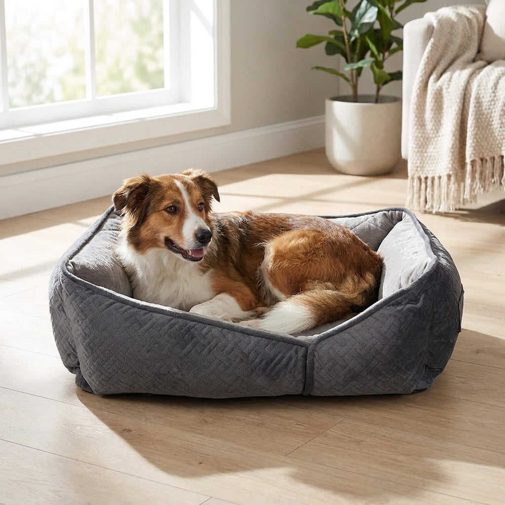 Dream Paws Geometric Shape Dog Bed Grey
