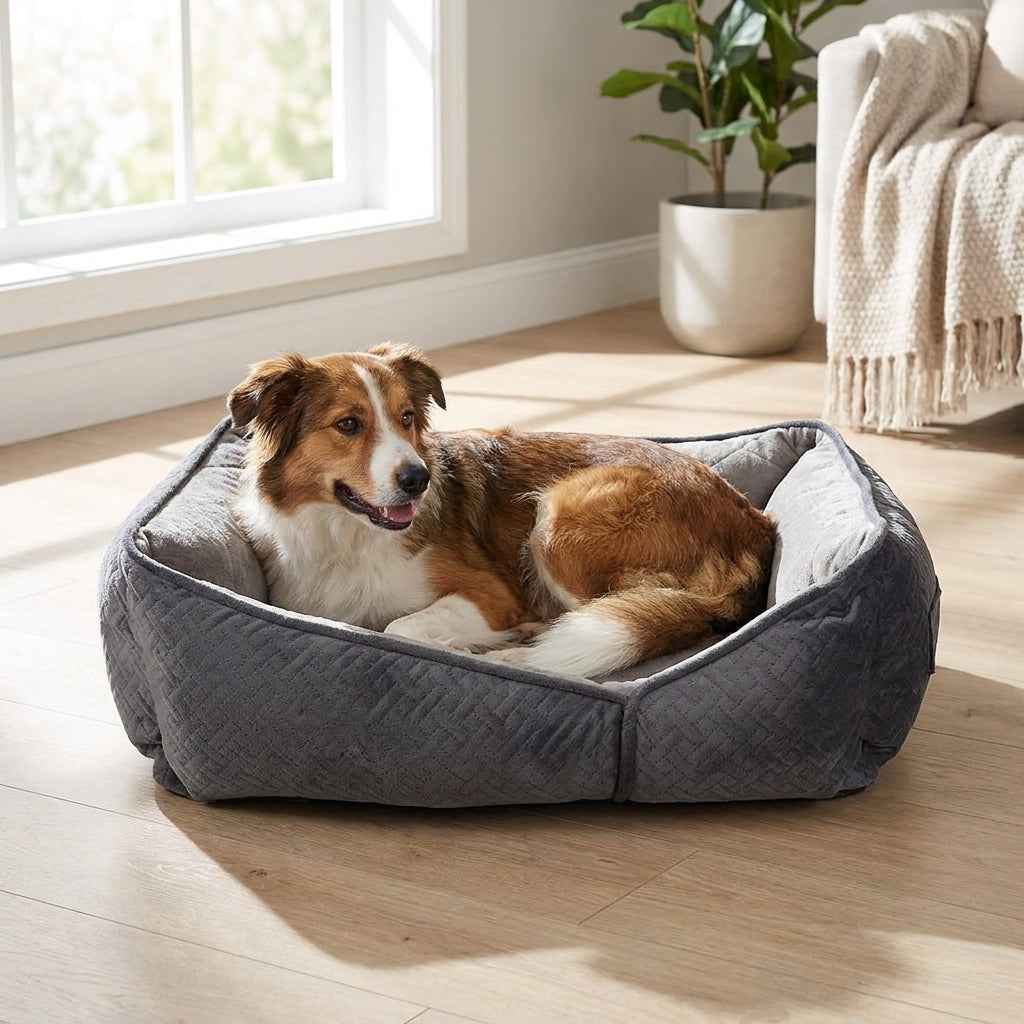 Gray quilted low pet lounger with two dogs resting in the cushioned bed