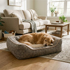 Reversible square fabric dog bed with plush interior, dog resting inside.