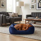 Blue velvet pet nest bed with rolled rim, brown dog resting inside