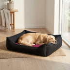 Wensleydale nesting pet bed in dark fabric with purple inner cushion, dog lying inside