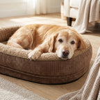 Round four-sided bolster dog bed with dark brown base and beige bolster, tan-and-white dog resting.