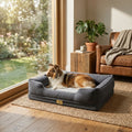 Gray bolster dog sofa bed by a window with one dog lying stretched out