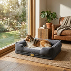 Gray bolster dog sofa bed with dog resting along the cushion tray edge