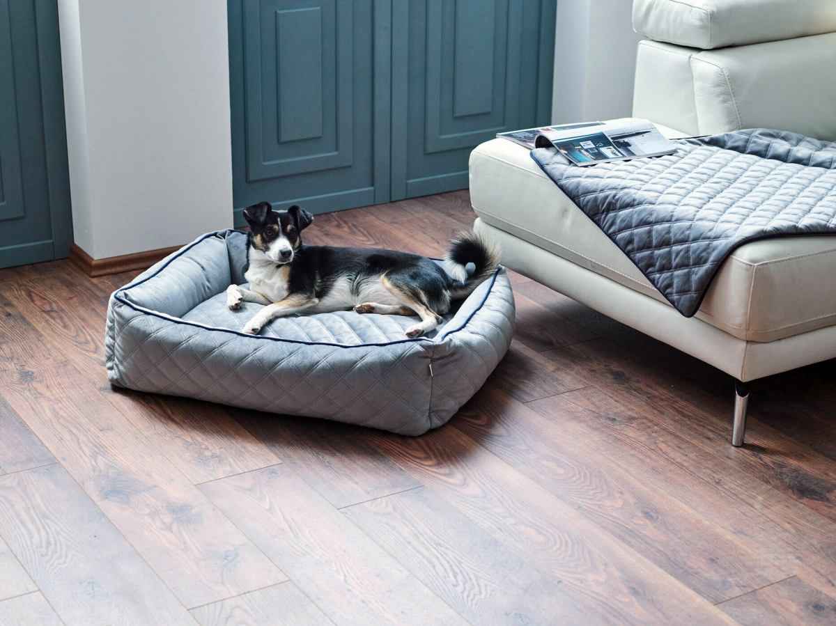 The Oxford Classic Orthopaedic Dog Bed
