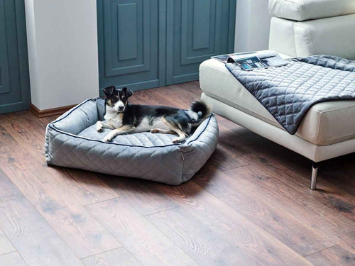 The Oxford Classic Orthopaedic Dog Bed