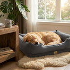 Gray bolster dog sofa bed with tan dog sleeping in the center cushion tray