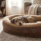 Round four-sided bolster dog bed in dark brown with beige cushion, tri-color dog curled up.