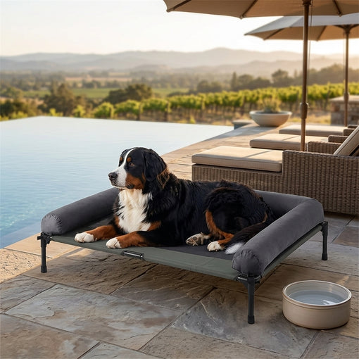 Elevated cooling dog bed with dark gray cushion; black-and-white dog lounging on patio