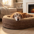 Round four-sided bolster dog bed in dark brown with beige rim, tan dog lying down.
