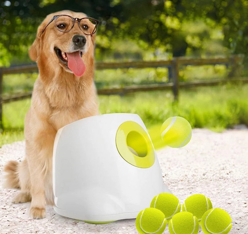 ALL FOR PAWS Automatic Ball Launcher For Medium To Large Dogs