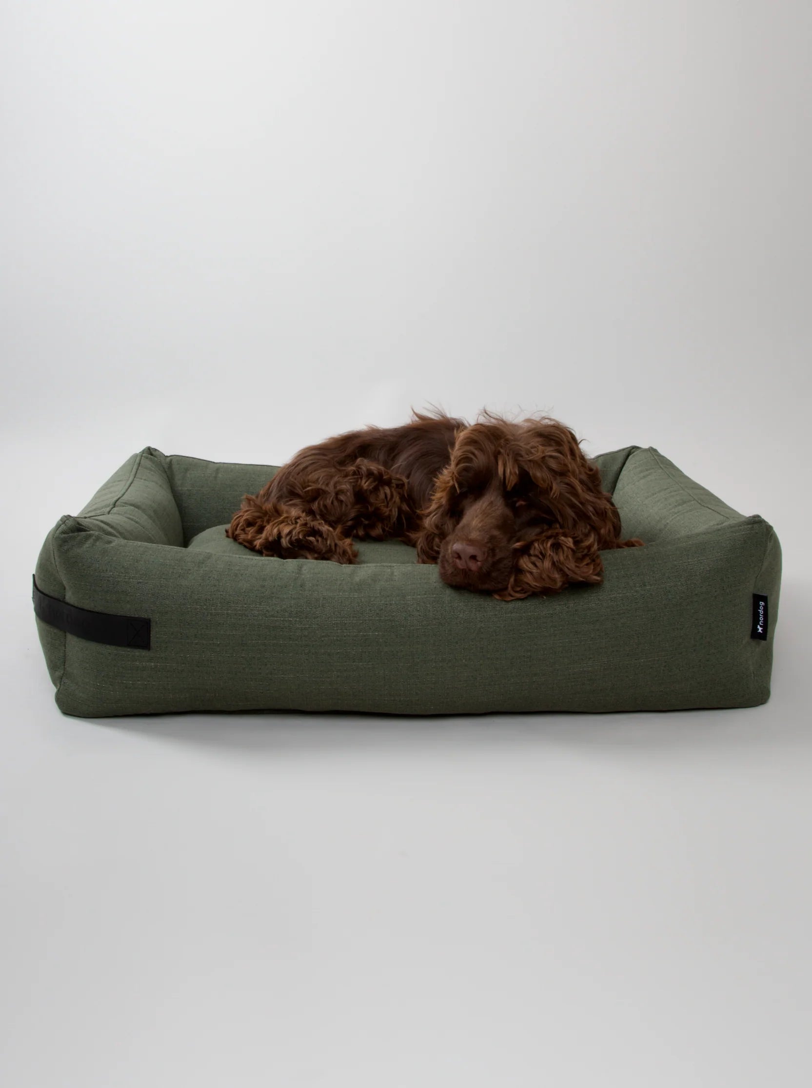The Borrowdale Eco Orthopaedic Memory Foam Dog Bed