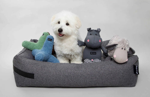 The Borrowdale Eco Orthopaedic Memory Foam Dog Bed
